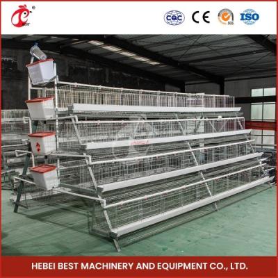 Chine 96-200 Birds Per Layer Efficient Poultry Battery Cage System Star à vendre