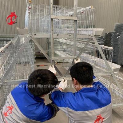 Chine Cage à poulet à plat chaud galvanisé à pile automatique pour 34000 oiseaux à vendre