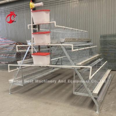 China Customized Galvanized Steel A Type Poultry Layer Cage For Point Of Lay Sandy for sale