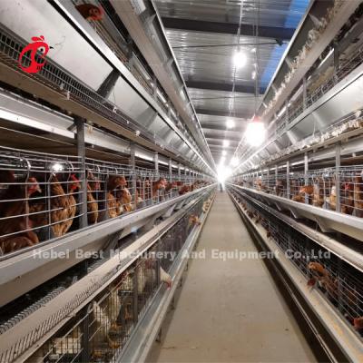 China H Type Automated Layer Battery Cage System With Free Drinkers Emily Wang for sale