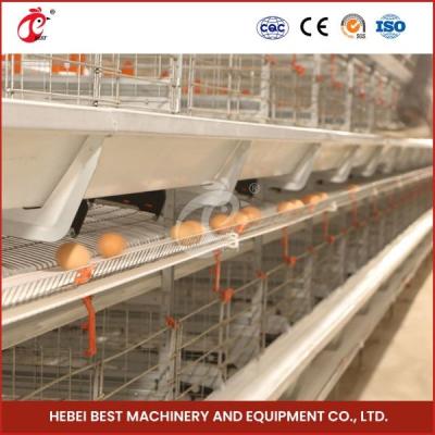 China Equipo de granja de aves de corral de capa automática de 4 niveles con máquina de alimentación automática Mia en venta