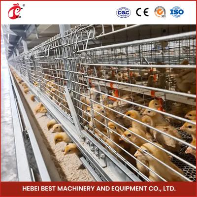 China Galvanized Poultry Farming Cage System With 2.8-3.5mm Cage Wire Diameter Mia for sale