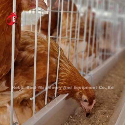 China 3-Tier Galvanized Poultry Cage System Mia for sale