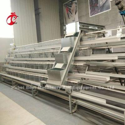 Chine Système de alimentation 1.5KW 380V Doris de volaille de cage semi automatique de couche à vendre