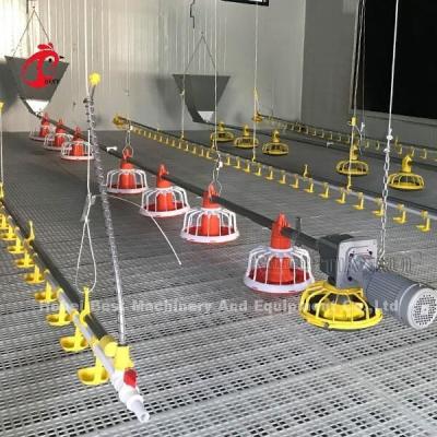 China Automatic Broiler Chicken Cage with Floor Feeder Pan Drinking System Emily for sale