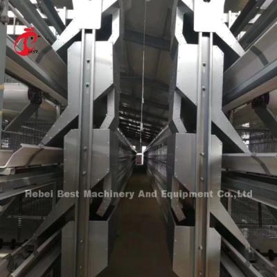 China Galvanized Poultry Farming A Type Automatic Cage System For Layers In Nigeria Popular Rose for sale