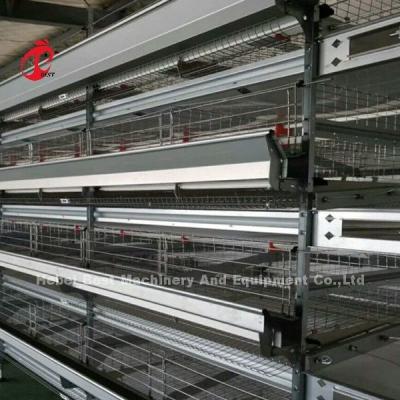 China Batterie automatische H-Typ Geflügelkäfig-System heiß verkaufen 240Birds Rose zu verkaufen