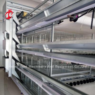 Chine Cage automatique à couche de volaille de type H et A 15000 Oiseaux populaires en Afrique Rose à vendre