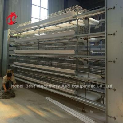 China Complete H Type Automatic Layer Chicken Battery Cages 500 Birds Adela for sale