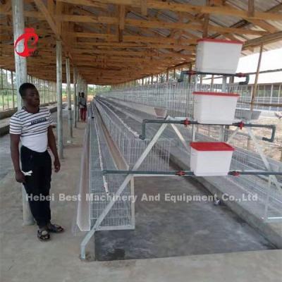 China 120-Cage Automatic Battery Chicken Cage System with Galvanized Surface Adela for sale