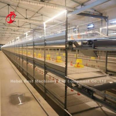 China Tipo CE de la jaula del pollo tomatero, equipo automático lleno Adela de H de la jaula de la parrilla en venta