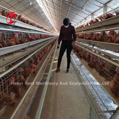 China Customized Layer Chicken Cage , Q235 Low Carbon Steel Poultry Battery Cage Doris for sale