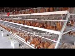 Hot Dipped Galvanized Layer Battery Cage System For Poultry Farm Q235 Steel Emily