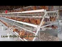 Q235 Steel Layer Battery Cage System 3 Tier 120 Birds For Poultry Farms