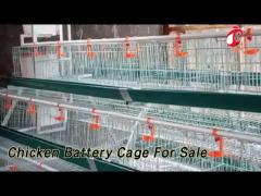 Poultry Farming Chicken Battery Cage 3 / 4 Tiers Hot Galvanized