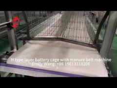 Electric Control Poultry Layer Cage System Layer Chicken Steel Cage Emily