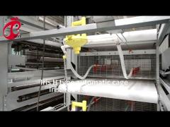 A H Type Automatic Laying Chicken Poultry Farming  Cage System In Africa Market Iris