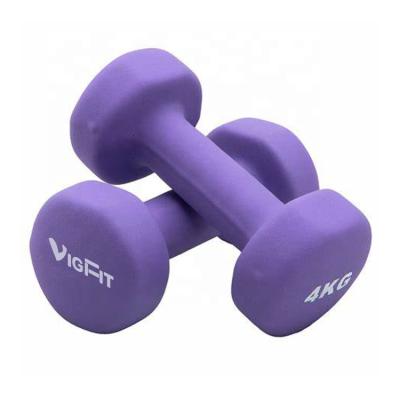 China New Strength Training Fitness Equipment Durable Weight Lifting Neoprene Non-Slip Dumbbell for sale