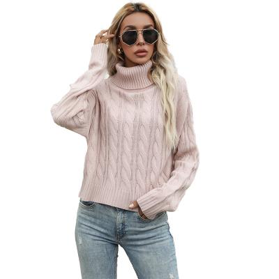 China New Anti-wrinkle Sweater Women Turtle Neck Solid Color Plus Size Winter Women Loose Soft Long Sleeve Knitted Sweater for sale