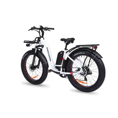 China Aluminum alloy manufacturer Price OEM E bikes e bikes for adults 2022 electric 750 destroyer e-bike speed bike for sale