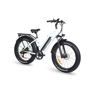 China Hot Selling Aluminum Alloy Fat Bike Style Electric Bike For Adults 100 Bicycle Adult Mountain Bikes for sale