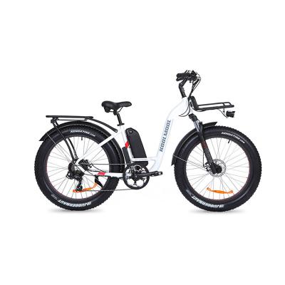 China Aluminum alloy manufacturer Price E bikes e bikes for adults electric e bike talk kit with battery for sale