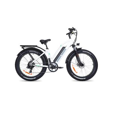 China European style speed bike aluminum alloy warehouse e electric bike for adults beach cruiser electric bike for sale