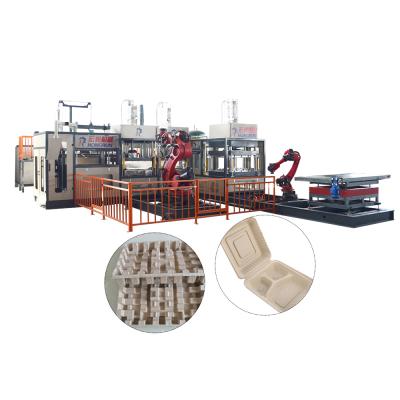 China food & Wood Molded Biodegradable Lunch Box Pulp Pulp Plant Beverage Plant Machine for sale