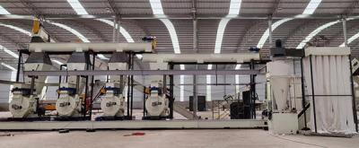 China Large DR650 Biomass Wood Pellet Production Line 3t/h Biomass Pellet Line for sale