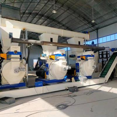 China CPM Type 20T/H Biomass Wood Pellet Production Line With Low Energy for sale