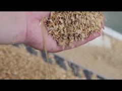 20TPH Ring Die Wood Pellet Mill  Introduction Video