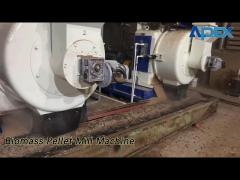 Wood Biomass Pellet Mill Machine 2 Rollers 3T/H Flat Die High Capacity