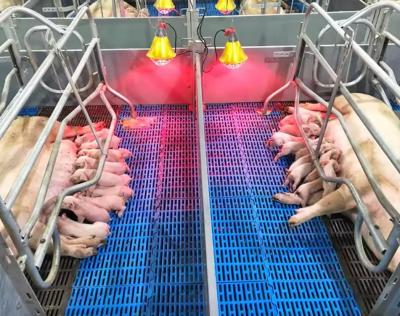 China Hoge sterkte Gemakkelijk te reinigen en onderhouden GRP vloerrooster FRP gegoten varkens Kip schapen vloerrooster Te koop