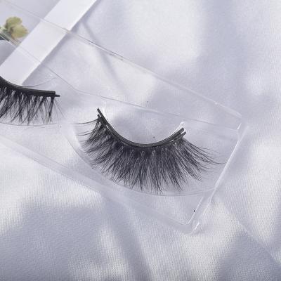 China Long New Design Four Magnet Magnetic Eyelashes Natural No Glue Natural Magnetic 3D Eyelashes for sale