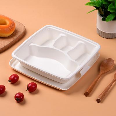 China Sugarcrane Degradable Wheat Straw Small Pulp Lunch Box 3 Compartment Sugarcane Bagasse Organic Food Lunch Box for sale