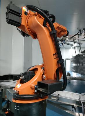 China Palletizing Industrial Robot Cell with 6axis and 0.06mm Repeatability 700 cycles/hour for sale