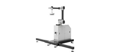 China WP-20 Chinese Robot Arm Technical Characteristics Of Chinese Palletizing Robot for sale