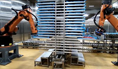 China Industrial Robot Palletizing Workstation Provides A One-Stop Solution for sale