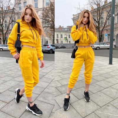 China Breathable 100% Cotton Pullover Custom Fleece Cropped Hoodies French Terry Custom Women Hoodies Crop Hoodie Top Set for sale