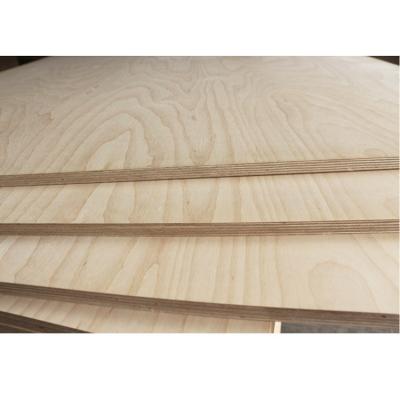 China Birch Aspen Pine Sperrholz X 12 Sperrholz Fabrikpreis Weiß modernes Interieur zu verkaufen