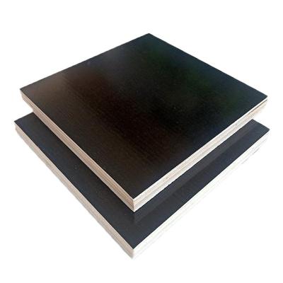 China Black Birch Ply 18mm 21mm Birchwood Plywood Template 1250x2550mm for sale