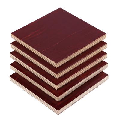 China Bridge Construction Birch Faced Plywood 18mm 25mm Birch Plywood for sale