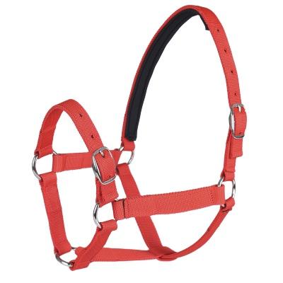 China Protective Factory Mamartia Wholesale Riding Supplies Riding Out Wear Reins for sale