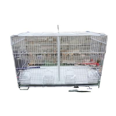 China Stocked wholesale a variety of styles to choose from classic birdcage for sale