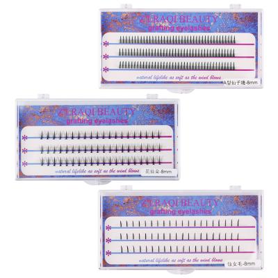 China 2022 Natural Long Hot Selling C Curl False Mink Lashes Extension Natural Single 0.07 Groups Grafted Individual Eyelashes Extension For Wholesale for sale