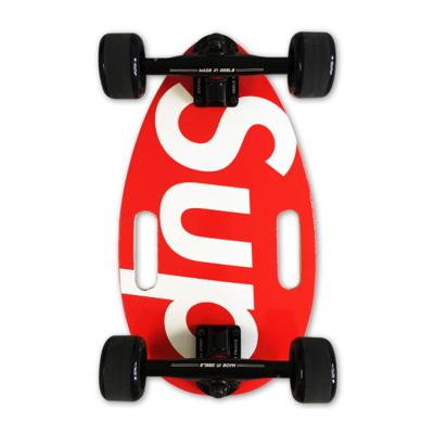 China Mini Fish Skateboards Company Canadian Maple Blanks for Youth Sale for sale