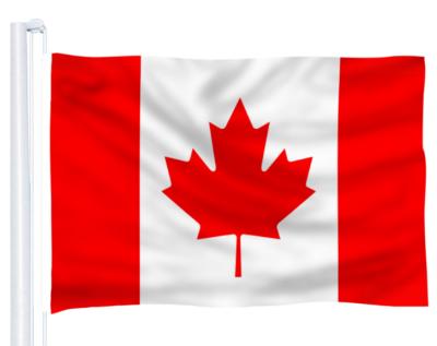 China Washable custom wholesale logo double sided Canada flag for sale