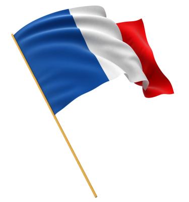 China Health Care Institute All Country Country Flag France Custom Flags High Quality Flags for sale