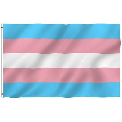 China Washable Custom Hot Sale Outdoor Hanging Flags Transgender Gay Bisexual Flag for sale