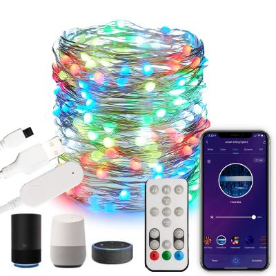 China String Lights Christmas Tree Lights USB Powered 10m 100LEDs Smart String Fairy Lights TUYA Smart Lights App for sale